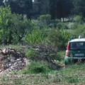 Puglia al terzo posto per infiltrazione criminale in agricoltura: la Bat cresce dell'1,27%