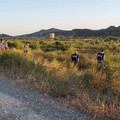 Recrudescenza criminalità nella Bat, Tiani (SIAP): "Questo territorio non può restare terra di nessuno "