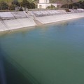 Crisi idrica: la Puglia ha perso 12,66 milioni di metri cubi d’acqua dagli invasi