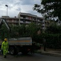Arriva il maltempo ed aumenta il rischio di provocare danni con la caduta degli alberi