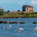 Andria Adria: un gemellaggio turistico-culturale e promuovere le eccellenze enogastronomiche