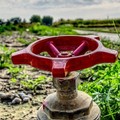 Temperature in forte rialzo: campagne sotto pressione tra irrigazioni, caro gasolio e fertilizzanti