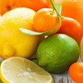 Cresce l'import di agrumi da Sudafrica e paesi del Mercosur