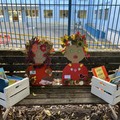 Festa dell’Albero 2024 all'Istituto Comprensivo "Verdi Cafaro " di Andria: “La mia biblioteca? E’ un giardino”