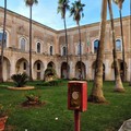 Alberi piantati al posto sbagliato: deturpato il chiostro dell'ex monastero dei Benedettini