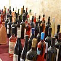 Vino, Puglia pilastro nazionale con il 65,5% a IGP e primato nei mosti