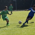 Nuova Andria Calcio: vittoria per i Giovanissimi, Allievi sconfitti nel derby con la Fidelis Andria