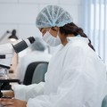 Covid, quasi il 25% di positività ai test in Puglia