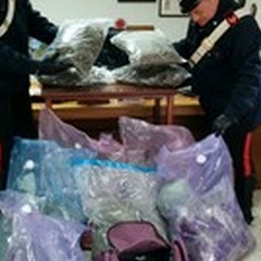 Droga ed auto rubate: maxi sequestro in una palazzina