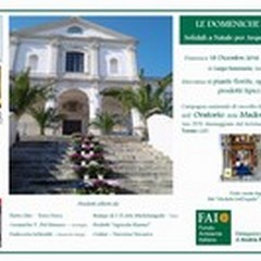Le domeniche del FAI, solidali a Natale per Arquata del Tronto