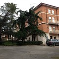 Centro ricerche Bonomo, Flai Cgil Bat: "Storia di una grande occasione persa? "