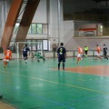 Primo stop per la Florigel Andria: Salapia Corsaro al Palasport