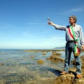 Un albero per Angelo Vassallo, il “Sindaco Pescatore”: Andria aderisce all’iniziativa di Fondazione Vassallo e ANCI