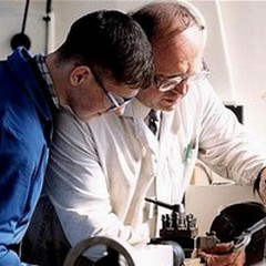 Disoccupazione nella BAT in discesa ma è lenta la ripresa