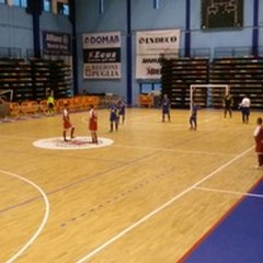 Una coriacea Florigel Andria impatta a Molfetta, è 3-3 al "PalaPoli "