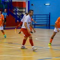 Aquile Molfetta a valanga sulla Florigel Andria: 7-0 al  "PalaPoli "