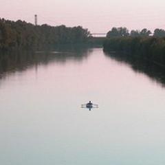 Salvare capre e cavoli