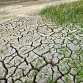 Siccità, cala l'acqua nei bacini pugliesi. Coldiretti:  "Meno 14mln metri cubi in una settimana "