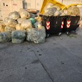 "Zona PIP abbandonata dal Comune: si vive nella spazzatura "