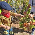 L’Istituto  "Jannuzzi - Di Donna " di Andria trasforma il giardino della scuola in una festa d’autunno