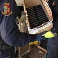 Botti di Capodanno: Nicola Montepulciano lancia l' appello alla Sindaca