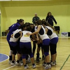 Sabato di Volley andriese: Audax, la vetta è tua