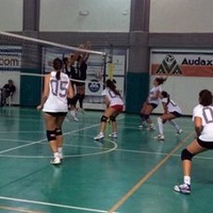 Audax Volley: vittoria in amichevole contro il Bitetto