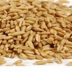 Le proprietà dell’avena