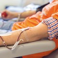 Giornata della Donazione: un'autoemoteca dell'Avis alla scuola primaria "G. Verdi "