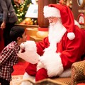 “Christmas Wonderland Natale 2023”, si cercano attori e animatori