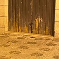 Blatte su corso Cavour: ogni sera va in scena "la replica "
