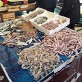 Stop al pesce fresco per blocco delle attività della flotta lungo l’Adriatico: attenzione alle etichette