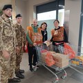 Colletta Alimentare 2025: un gesto di solidarietà che unisce Andria e tutta l’Italia