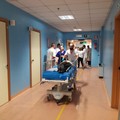 Ben cinque i medici di Andria eletti nel nuovo consiglio direttivo dell'Ordine dei Medici Chirurghi e Odontoiatri della Bat