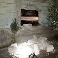 Tentativo di furto di mezzi agricoli sventato dalle guardie giurate della Vegapol
