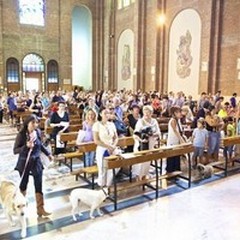 La Parrocchia San Luigi celebra la "Benedizione degli animali "