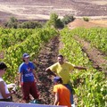 Lavoro, Coldiretti Puglia "Emiliano non lasci disoccupati 4mila giovani "