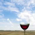 Pratiche commerciali sleali: sequestro vino senza tracciabilità
