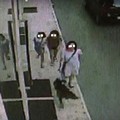 Deiezioni canine: altri 16  "sporcaccioni " beccati dalla Polizia locale