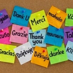 Il bilinguismo curativo