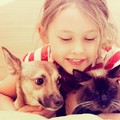 Puglia prima tra le regioni dove il fenomeno dell’abbandono degli animali è più diffuso
