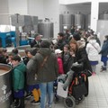 Torna "Olio in Cattedra " con BIMBOIL: le scuole cittadine invitate a partecipare