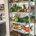 Puglia, seconda regione bio in Italia con quasi 320mila ettari