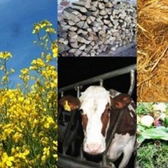 «Il Verde Urbano: vivere a regola d’ambiente»: due convegni ad Andria