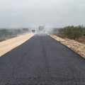 Provinciale Andria-Trani, iniziano i lavori sulle carreggiate principali
