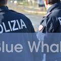 Polizia Postale: una pagina web dedicata al fenomeno "Blue whale "
