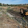 Canale Ciappetta-Camaggio, lavori di pulizia e bonifica in corso