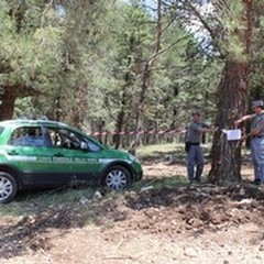 Sequestrato il  "Bosco Finizio " di Andria