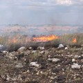 Roghi in città ed inquinamento ambientale, è ora di fermare questa vergogna