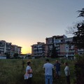 Bosco Urbano 3place di Via Ceruti. Loconte: «Nessun albero è stato abbattuto per la realizzazione del nuovo immobile»